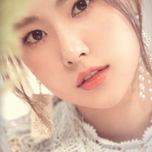 Image 13830