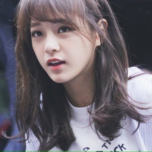 Image 13857